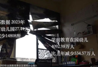 12家幼儿园关了8家，园长负债2000万靠卖酒自救