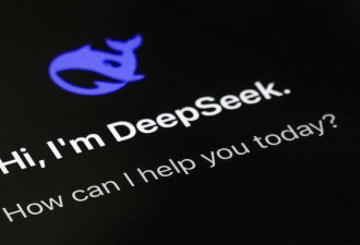 用韩语中文问泡菜源自哪里 DeepSeek回答各异