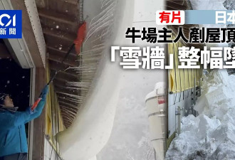 日本的雪到底能有多大：屋顶积雪落下如天降异物