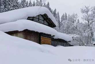 日本的雪到底能有多大：屋顶积雪落下如天降异物