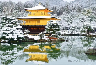 日本的雪到底能有多大：屋顶积雪落下如天降异物