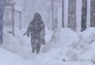日本的雪到底能有多大：屋顶积雪落下如天降异物