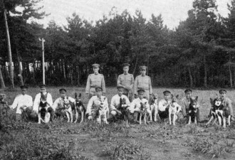 日寇の恶犬：鬼子的“战狼” 中国人的噩梦