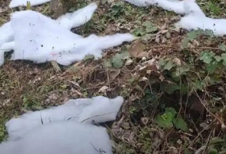 成都“雪村”大翻车！景区用“棉花”假冒