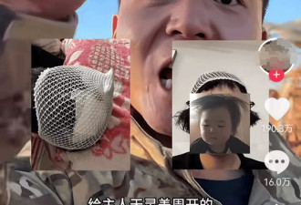 狗送去驯化成网红,主人拿回狗狗被要求签"百万赔偿合同"