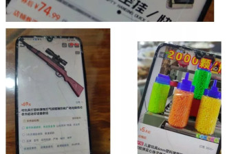 买卖仿真气枪被判无期，一位妻子的十三年诉讼路