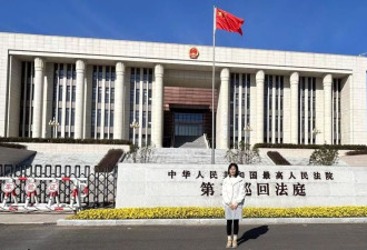 买卖仿真气枪被判无期，一位妻子的十三年诉讼路