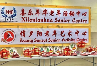 《正月十五闹元宵--手工作品展示暨美食大荟萃》联欢会现场报道