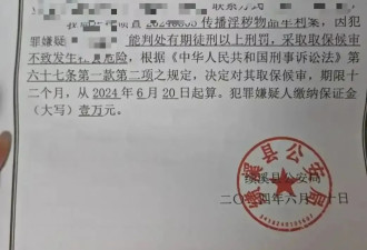 小说“涉黄”被跨省抓捕后，一个海棠作者的自白