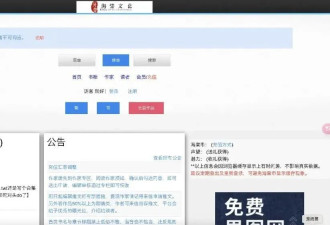 小说“涉黄”被跨省抓捕后，一个海棠作者的自白
