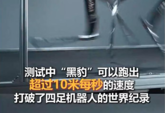10米每秒！中国推出全球最快四足机器人