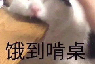 运动瘦 vs 饿瘦，差别到底有多大？