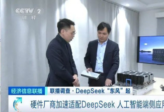超15家芯片厂商适配DeepSeek模型！朋友圈"扩容"