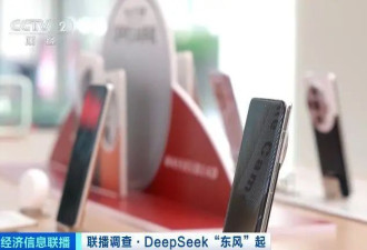 超15家芯片厂商适配DeepSeek模型！朋友圈"扩容"