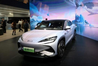 2025开年，中国车圈价格战打疯了