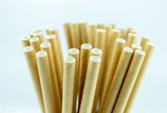 特朗普签署行政命令，推动恢复使用塑料吸管