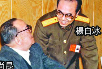 老邓当年为何突然废掉“杨家将”