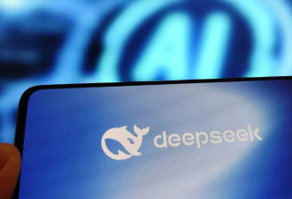 谁会成为下一个DeepSeek，近百家机构托人投资...