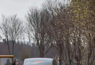 网友反映“特斯拉开入滇池绿道景区内部路”....