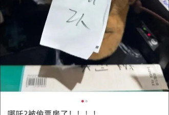 冲上热搜！哪吒2被偷千万票房？光线传媒回应