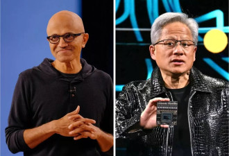 纽约时报：微软和英伟达为何不向特朗普“献媚”