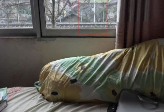 男子称铁路旁装摄像头对卧室:可人为操控360度旋转
