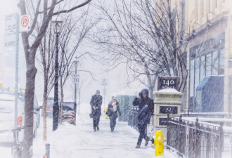 40cm暴雪横扫安省!多伦多连续6天雨雪齐飞:-27°C极寒+90km狂风