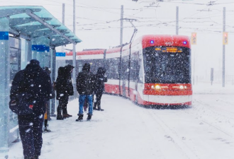 40cm暴雪横扫安省!多伦多连续6天雨雪齐飞:-27°C极寒+90km狂风