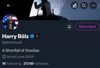 马斯克将其X账号改名为Harry Bōlz 个人描述也变了