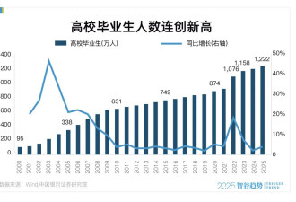 不是房子！扎心：DeepSeek预测贬值最快的物品
