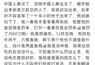 中国爸爸入境被罚4000 多名华人被罚差点被遣返