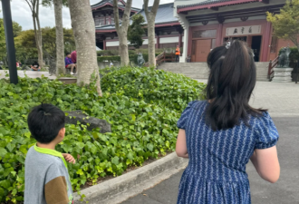 华人气炸：去寺庙礼佛，孩子却被赶出