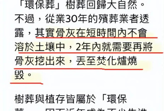 大S树葬细节曝光：骨灰被研磨，每月喷药分解，消失后翻土再使用