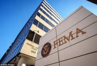 拨$5900万给非法移民住酒店 FEMA多名高管被开除