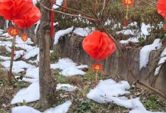 “棉花扮雪”的奇葩“创意”是怎么出炉的？