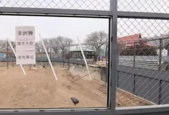 西安一动物园268元可撸狮子？记者探访：已被叫停