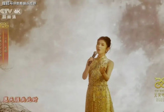 央视元宵晚会上的十大美女：李云霄温婉，吴宣仪惊艳，朱迅太好看
