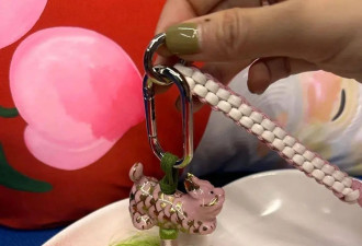乙巳蛇年，你的“转运法宝”备好了吗？