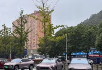 一线城市打工人，被老家的“豪车”卷飞了