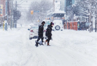"滑雪出门"!多伦多破纪录暴雪埋城:机场、高速全瘫!周末再下20cm!