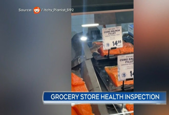 安省超市内惊现小老鼠啃食三文鱼片！卫生局调查称没有违规！