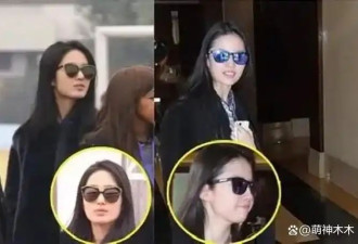 杨采钰被曝怀孕 网友感慨她比刘亦菲聪明