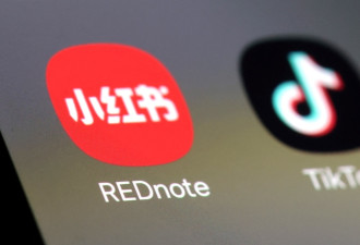 尽管备受安全审视,美国用户仍在使用中国应用程序