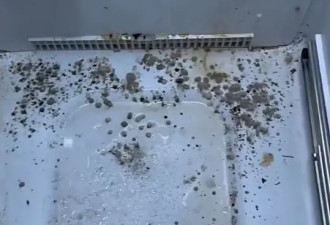 家里最脏的一个地方，却被很多人忽视了！不是厕所