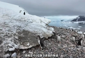 数百人滞留！一大半是中国人，有人2天损失16万