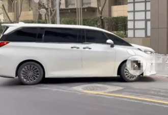 业内持续炮轰小S逃避，伊能静被骂后取消点赞