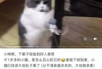 广西“吃猫逼婚”事件，背后最残酷的真相是什么？