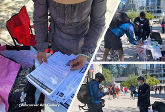 反对仇恨亚裔犯罪关注组声明：对最近外国干预指控的担忧