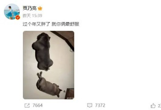 考古|贾乃亮被造谣去世，离婚多年靠带货实现逆袭，连龚俊都眼红！