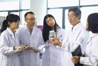 吃米饭可护心脏？中国团队成功创制辅酶Q10水稻